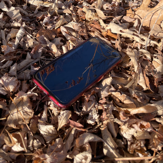 Poem: Smartphones in the Grass